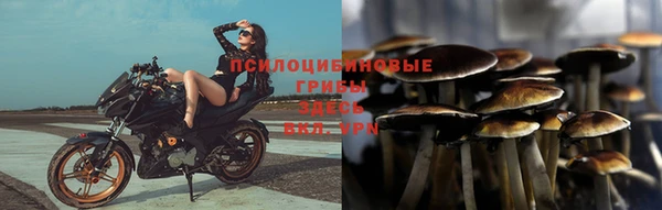 спайс Балахна